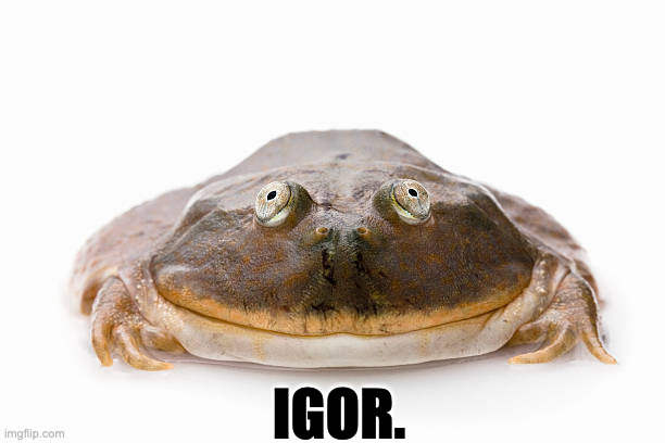 Igor