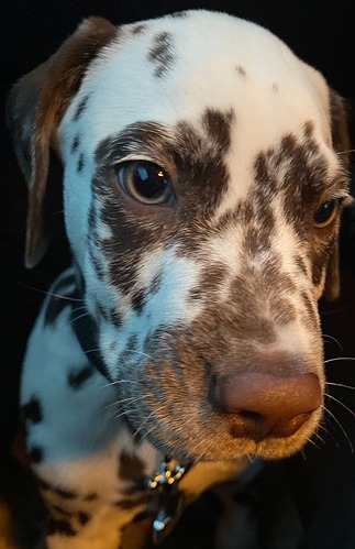 67139764701__A53D44B3-3A3E-44DF-BF19-1282EFB0C082